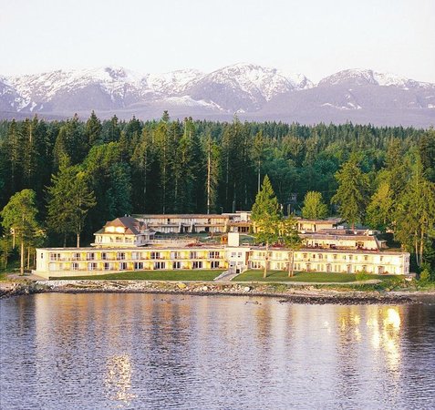 last minute travel deals from comox bc