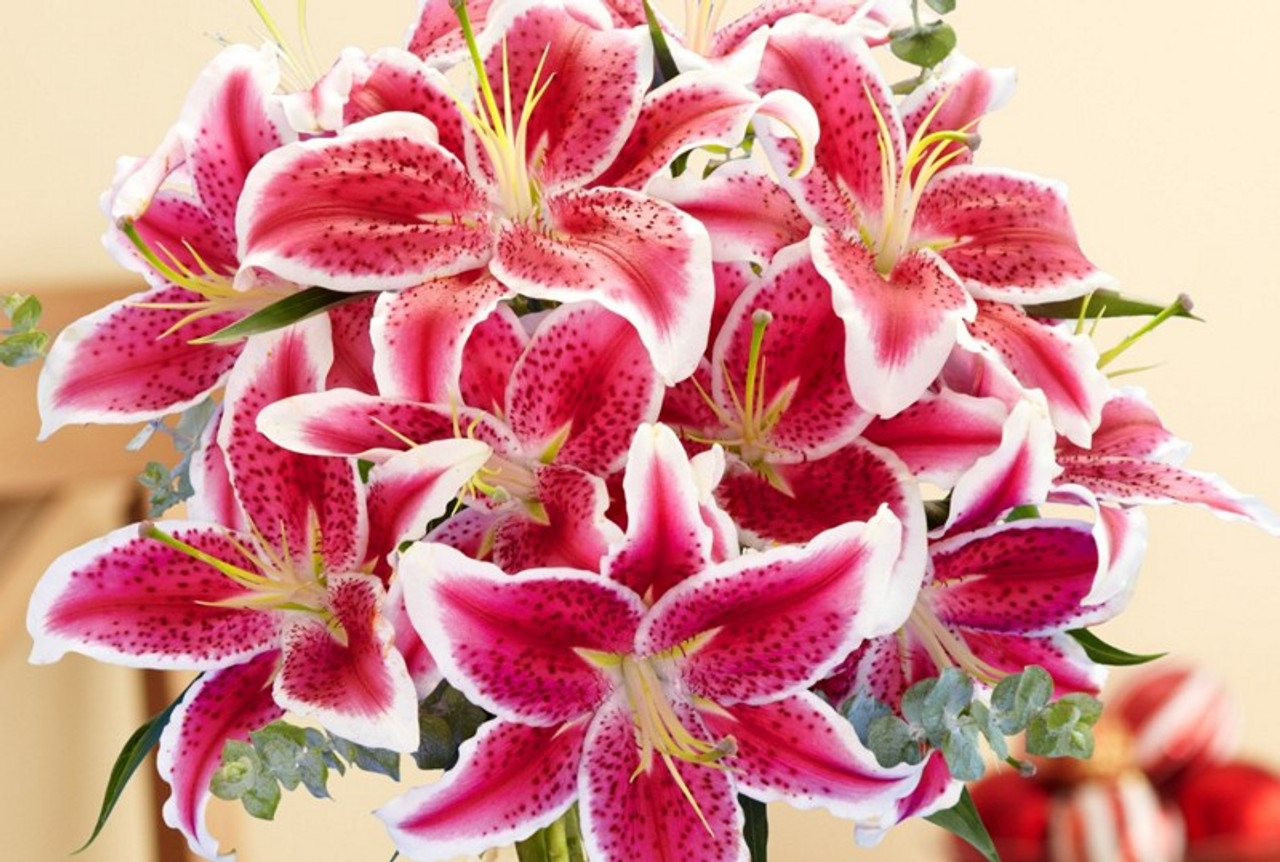 pro flower coupon code free delivery
